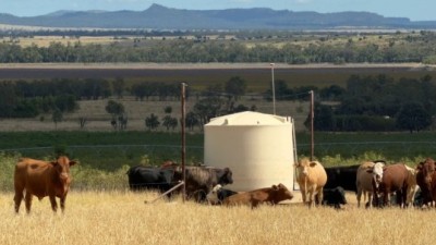 Boam Creek Aggregation Qld