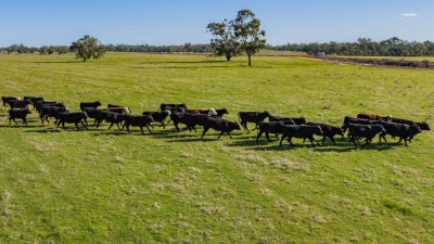 Gillenbah Aggregation NSW