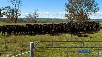 Gleneagles NSW
