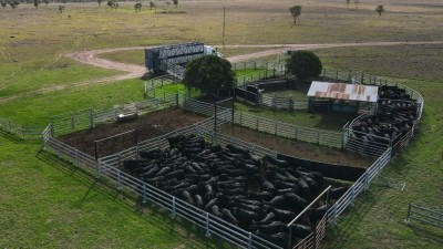 Inglestone Qld