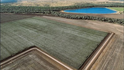 Willoughby Qld