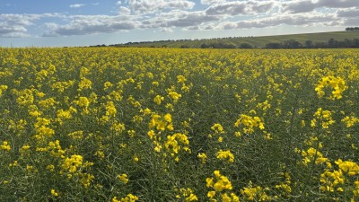 Arrowsmith WA