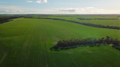 Possum Hill WA