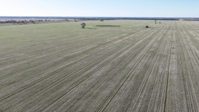 Tuncooey and Bonnie Doon NSW