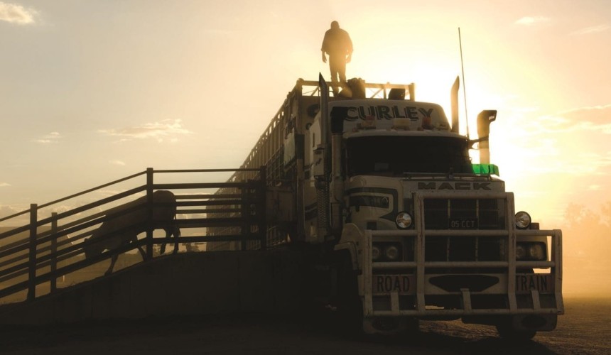 Webinar: Practical biosecurity actions for producers
