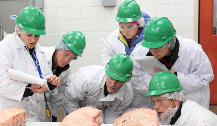 Recruitment: Ag skills trade apprenticeship concept seeks input