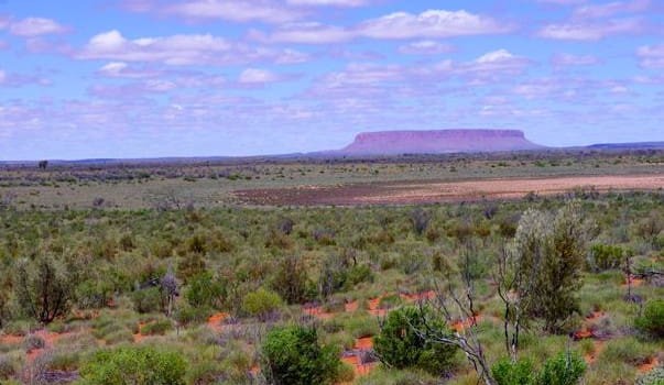 Renowned scientist says Australia could already be at “net-zero”