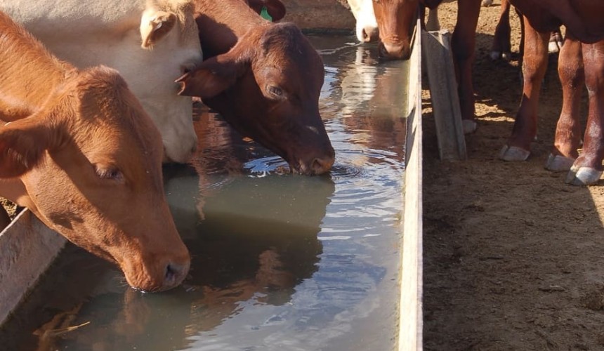 Carted water charges proposed for feedlot customers
