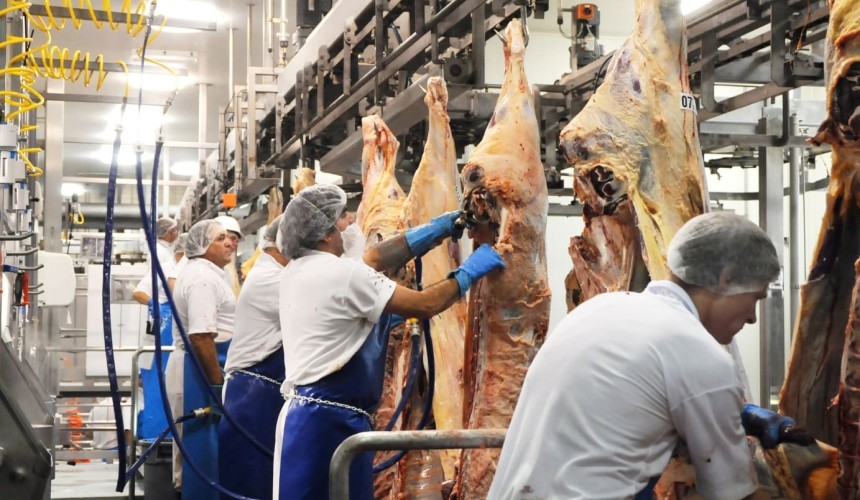 Weekly kill: ‘Over-valued’ Aussie dollar drags down beef export competitiveness