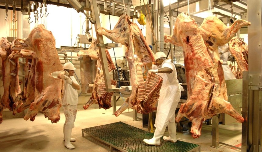Go/no go decision on DEXA objective carcase measurement investment by March