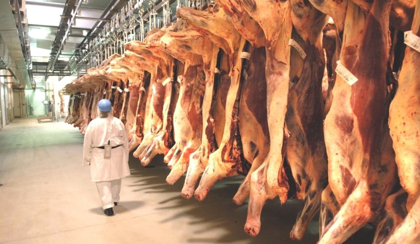 Weekly kill: EYCI nosedives, as big turnoff surge builds momentum