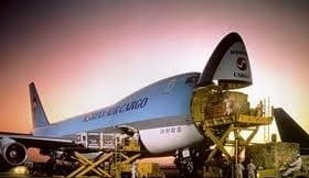 Wellcamp launches regular international airfreight service