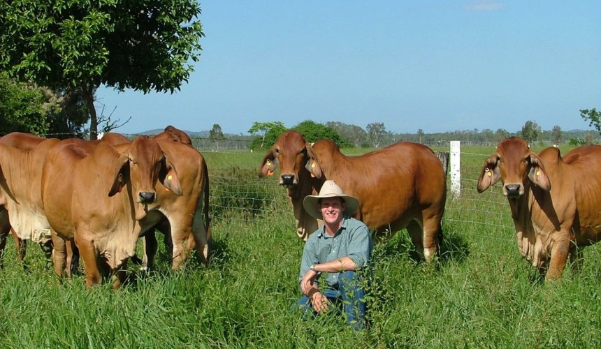 Light at end of the tunnel for Beef 2015 mentor program entrant Ash Kirk