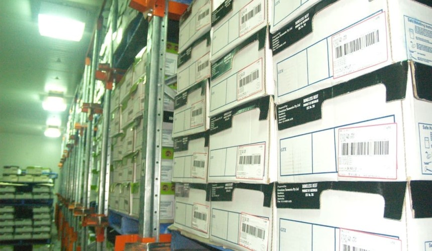 Wholesale beef update: Mid-winter sees tough going on grilling cuts