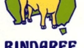 Bindaree Beef secures finance for $15m clean technology project