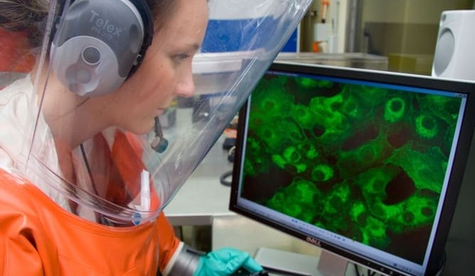 New Bill aims for tougher penalties for biosecurity breaches