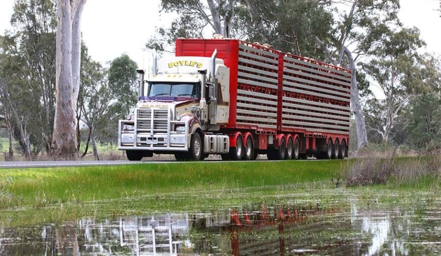 Easing trend continues in diesel fuel price