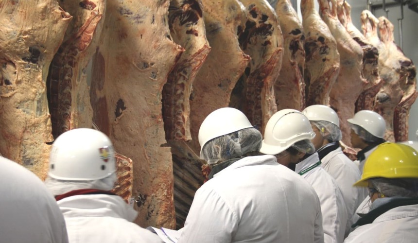 800 entries in Beef 2021 carcase competition, exceeding expectations