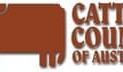 CCA elects two independent directors at AGM