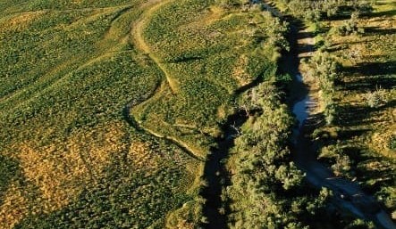 Property: Will land values begin to reflect specific attributes like ‘Certified Organic?’