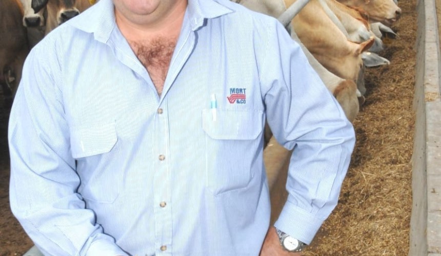 Beef’s strong outlook encourages feedlot investment