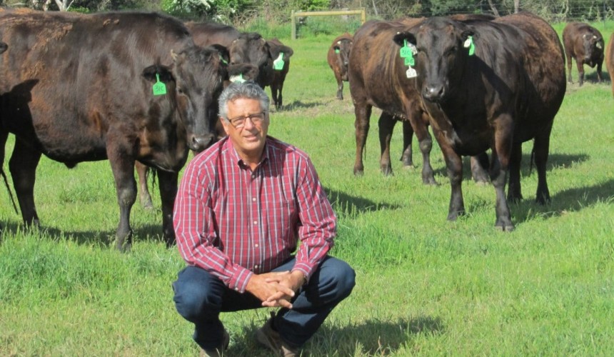 Importance of reliability emphasised in pioneering Blackmore Wagyu genomics work