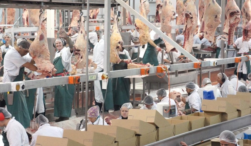 Saleyards numbers explode as ‘three weeks are forced into one’