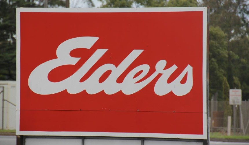 Higher cattle and property prices help lift Elders profit to $51.6m