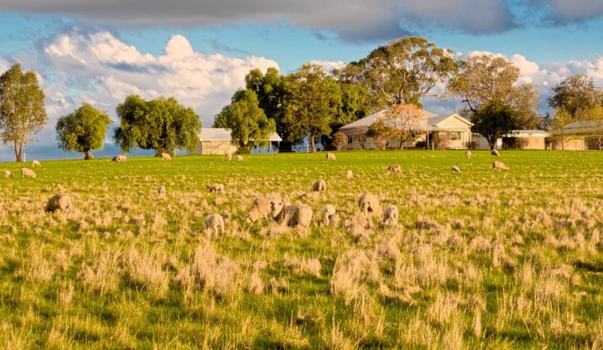 Pastoral Property: A Tale of two values – Part 1