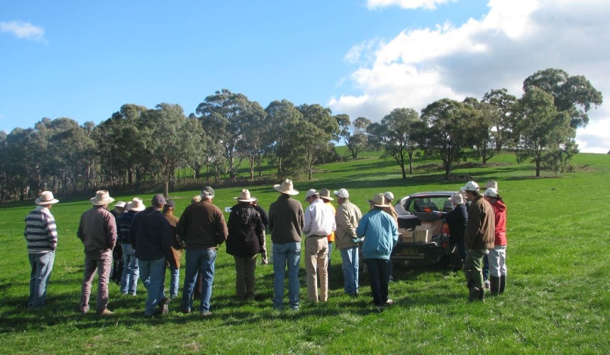 How many cattle producers are there?