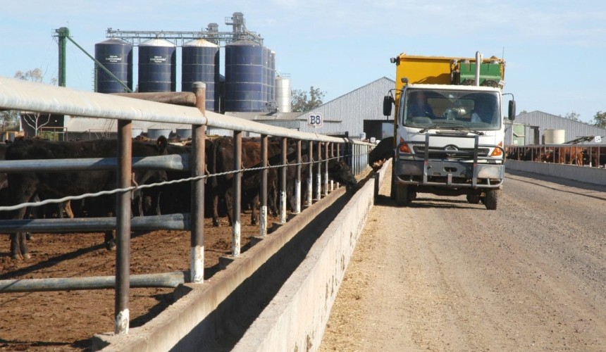 Feedgrain Focus: Queensland dry lifts prices