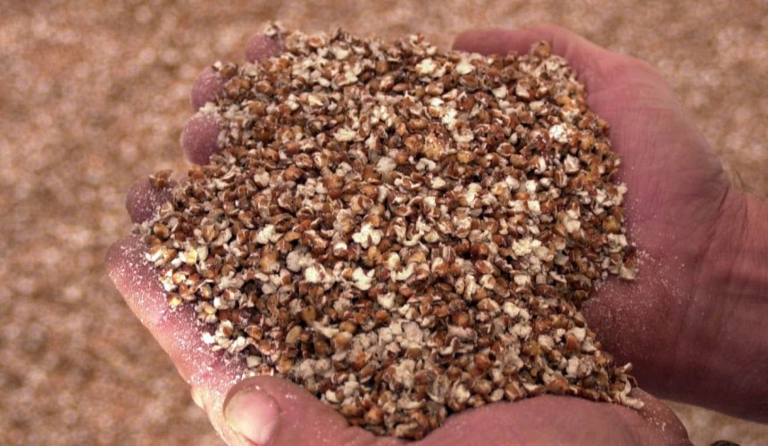 Feedgrain Focus: Prices ease as southern crops consolidate