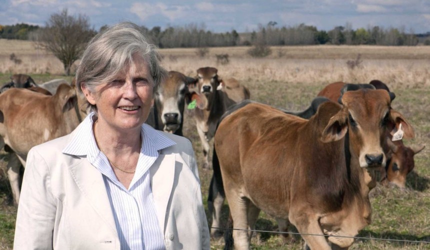 Genetic selection for tick resistance is feasible, multi-nation study shows