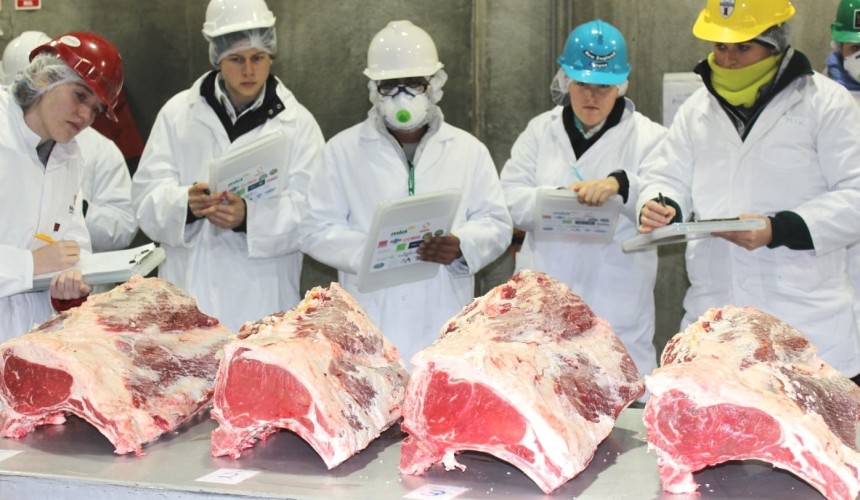 Intercollegiate Meat Judging heading to Rocky
