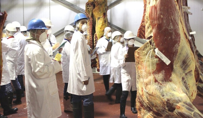 Industry defends itself after reports of new vegetarian school assignment