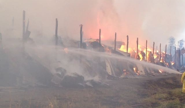 Business as usual for Feed Central despite $250k hay shed fire