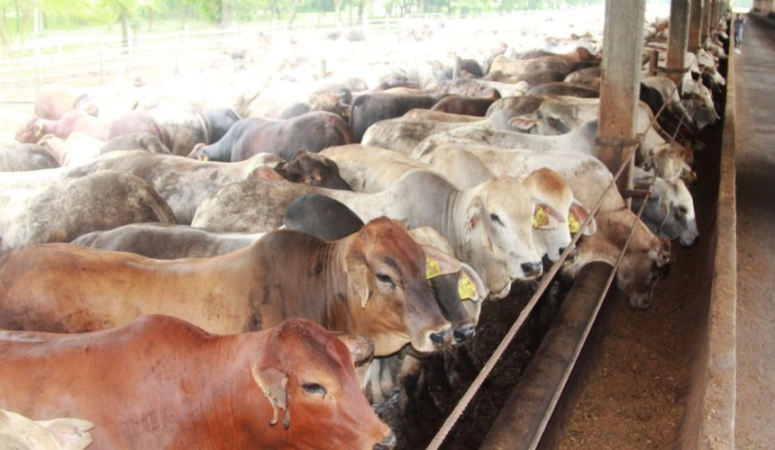 Indonesia’s stance on annual permits still unclear