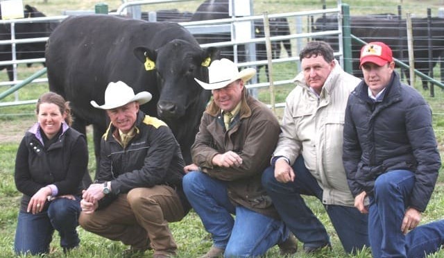 Weekly genetics review: Be prepared to pay more for the bulls you need this year