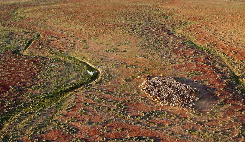 $50m profit for Kidman, in lead-up to sale decision