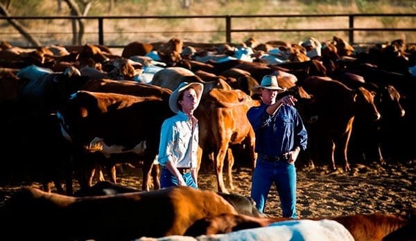 Recruitment: Creating a positive team culture on-farm