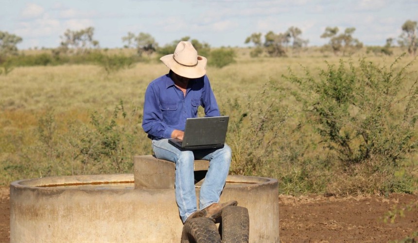 Weekly genetics review: Buying bulls on Gumtree?