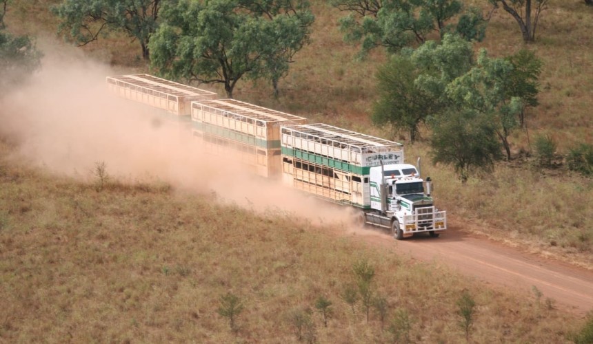 Revised NHVR Master Code of Practice offers practical support for stock transport