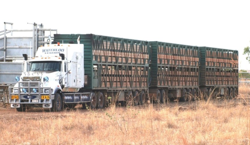 Owner drivers win 11th hour reprieve against fixed pay rates