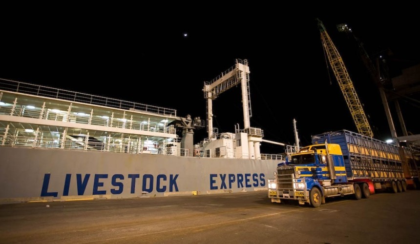 Further delays in livex class action compensation