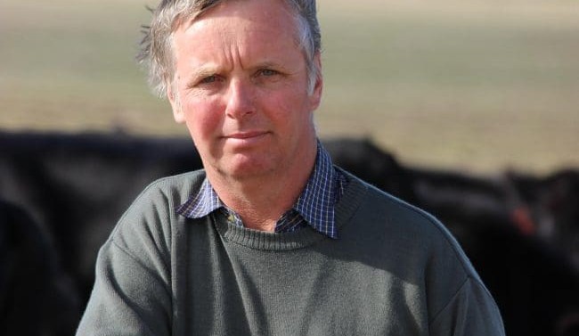 Coolana to draw curtain on 45 years’ Angus bull breeding