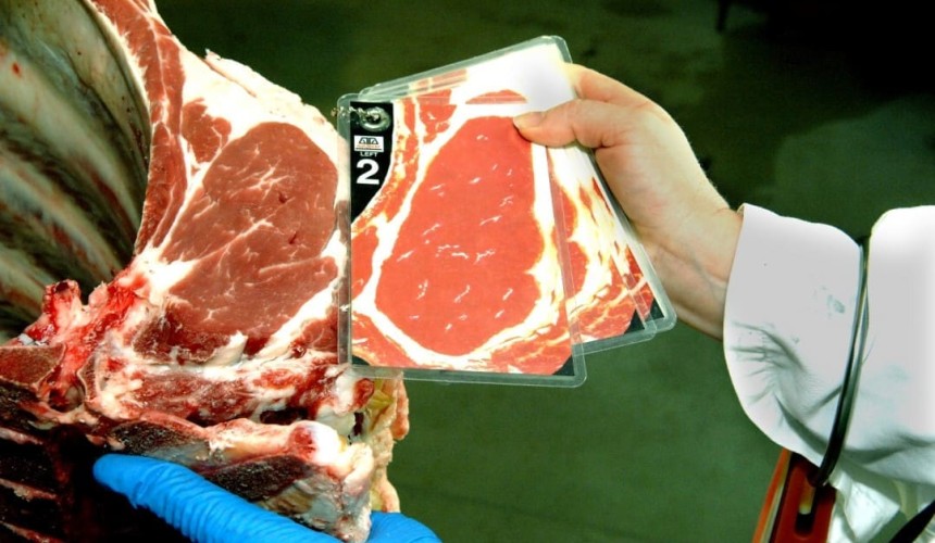 Record entries for Beef 2018 national carcase competitions