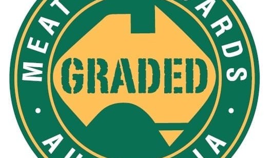 MSA changes strategy on audits, as system grows