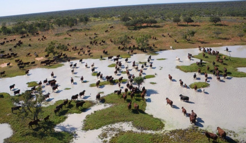 Kidman confirms four large channel country and NT property sales