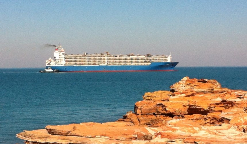 AMSA launches ‘focused inspection campaign’ targeting live export ships