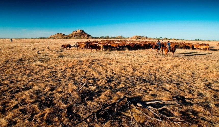 Pastoral company land revaluations show contrasting views